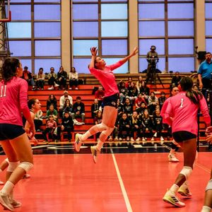 Image post by @gtvolleyball on Instagram