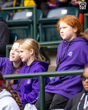 Image post by @littleleague on Instagram