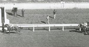 Image post by @australianturfclub on Instagram