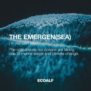 Image post by @ecoalf on Instagram
