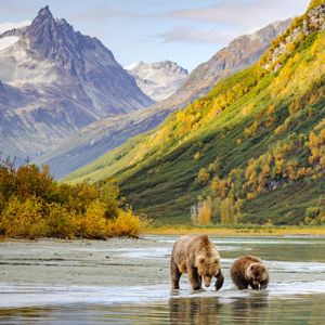 Image post by @discovery on Instagram