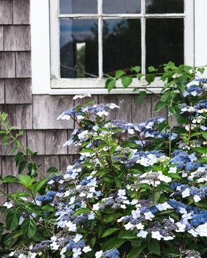 Image post by @farmhousepottery on Instagram