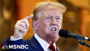 Video post by @msnbc on YouTube