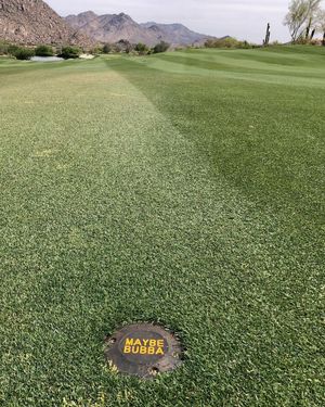 Image post by @bubbawatson on Instagram
