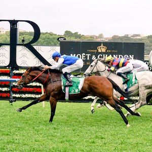 Image post by @australianturfclub on Instagram