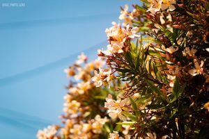 Image post by @djs_photo_lens on Instagram