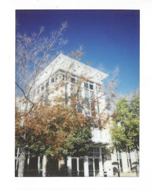 Image post by @untunion on Instagram