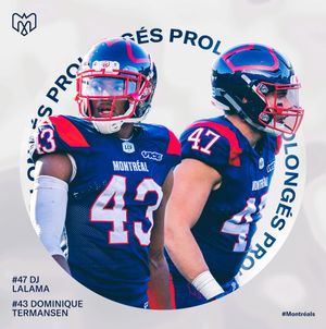Image post by @mtlalouettes on Instagram