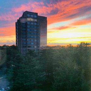 Image post by @hofstrau on Instagram