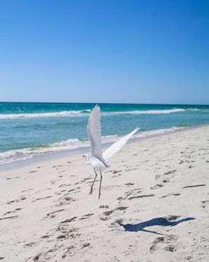 Image post by @southwalton on Instagram