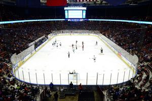 Image post by @swamprabbits on Instagram