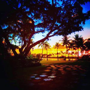 Image post by @hiltonhotels on Instagram