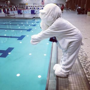 Image post by @specialolympicstn on Instagram