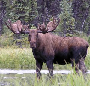 Image post by @nationalparkservice on Instagram