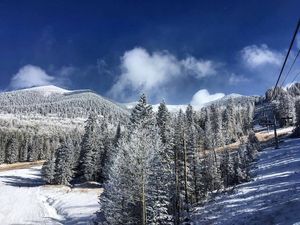 Image post by @nauflagstaff on Instagram