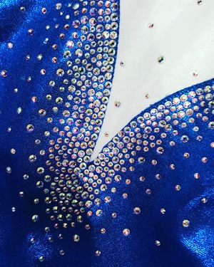 Image post by @gatorsgym on Instagram