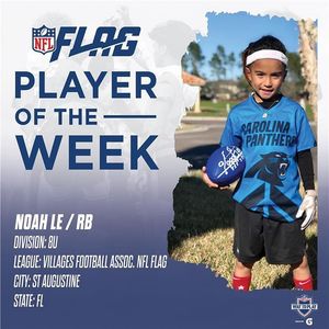 Image post by @nflflag on Instagram