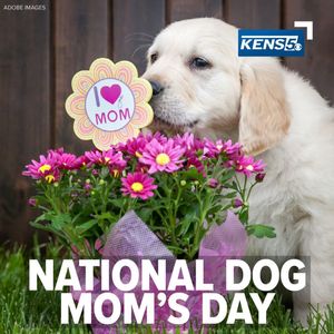 Image post by @kens5 on Instagram