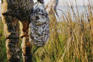 Image post by @toadfishoutfitters on Instagram