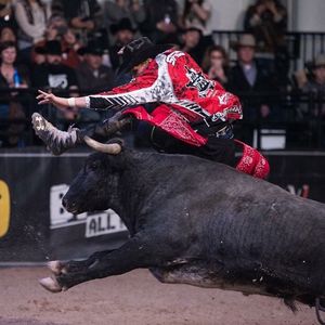 Image post by @bullfightersonly on Instagram