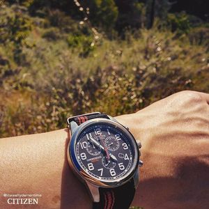 Image post by @citizenwatchus on Instagram