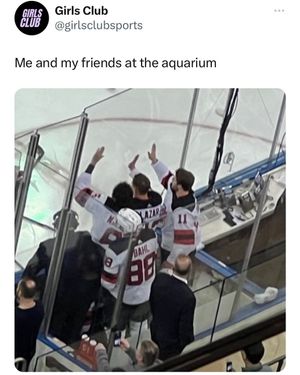 Image post by @sportsgirlsclub on Instagram