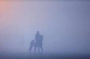 Image post by @michaelmreaves on Instagram