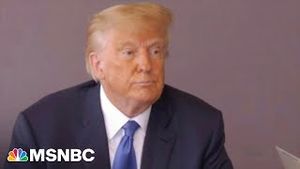 Video post by @msnbc on YouTube