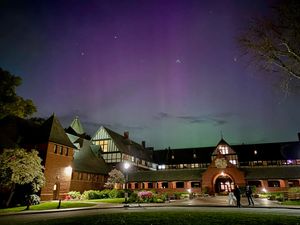 Image post by @smlions on Instagram