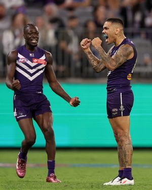 Image post by @freodockers on Instagram