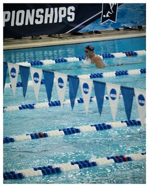 Image post by @gvsuswimdive on Instagram
