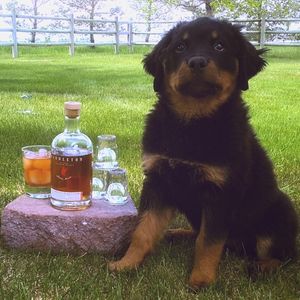 Image post by @pendletonwhisky on Instagram