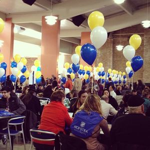 Image post by @hofstrau on Instagram