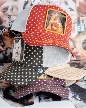 Image post by @goorinbros on Instagram