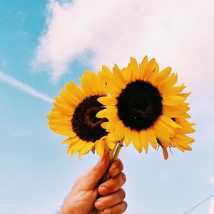 Image post by @jordanranease on Instagram