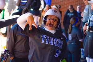 Image post by @memphissoftball on Instagram