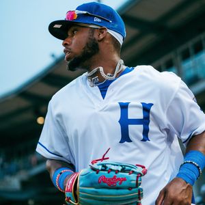 Image post by @hartfordyardgoats on Instagram