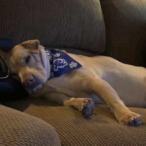 Image post by @setonhall on Instagram