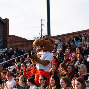 Image post by @gocamelsbsb on Instagram
