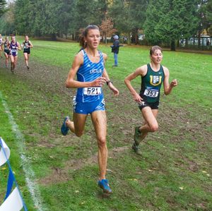 Image post by @uclaxc on Instagram