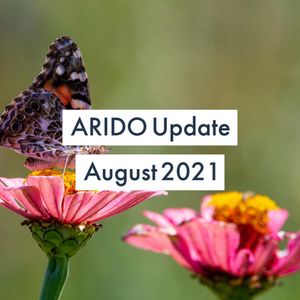 Image post by @aridontario on Instagram