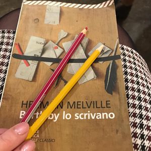 Image post by @alessandra_chiappa on Instagram