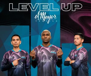 Image post by @stlouisambush on Instagram