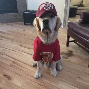 Image post by @du_hockey on Instagram