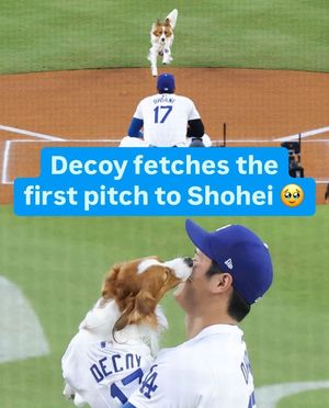 Image post by @mlb on Instagram