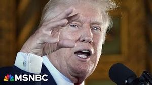 Video post by @msnbc on YouTube