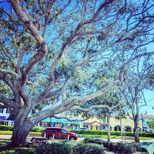 Image post by @visitsarasotacounty on Instagram