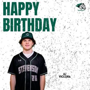 Image post by @stevensonbsb on Instagram