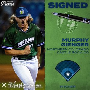 Image post by @picklesbaseball on Instagram