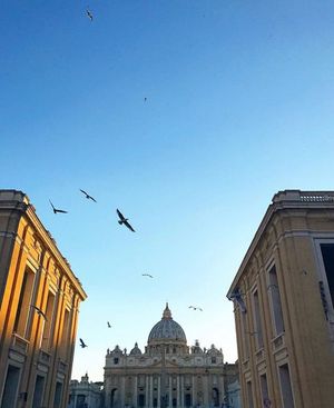Image post by @cimbaitaly on Instagram